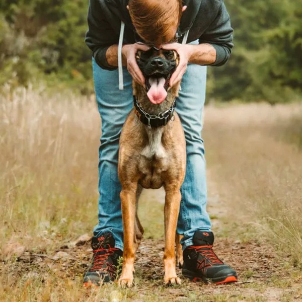 Кроссовки Haix Connexis Go GTX Mid