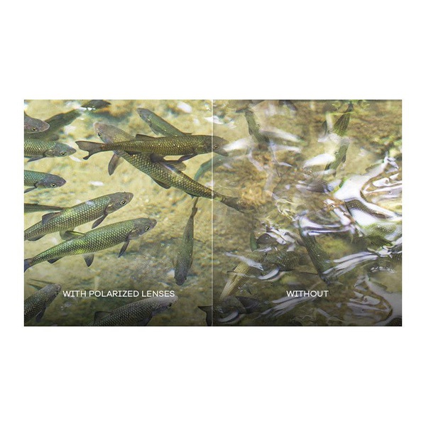 Очки защитные Wiley X WX Gravity Matte Black, линзы: Polarized - Grey