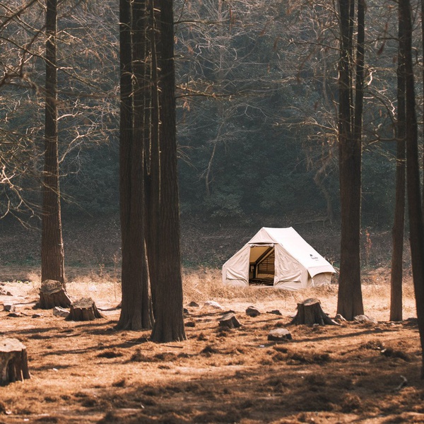 Палатка Naturehike Gen Air 6.3 (2-4 местная)