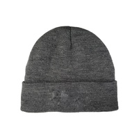 Шапка Спрут с тинсулейтом серый