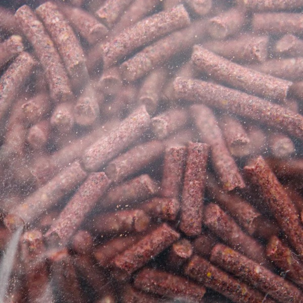 Прикормка Yaman Winter Pellets Bloodworm зимняя 700 г (мотыль)