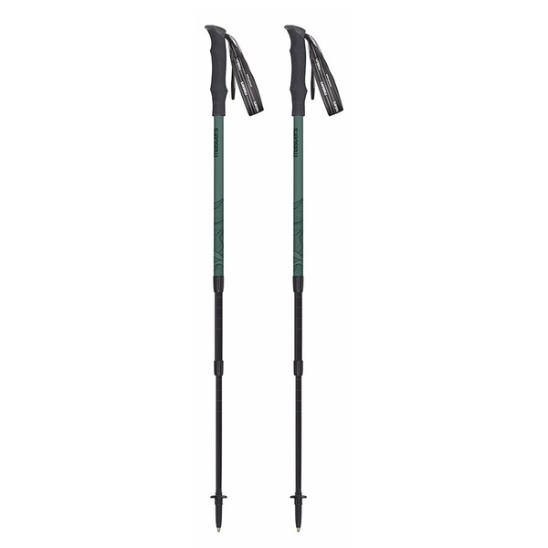 Палки треккинговые Masters Hiker