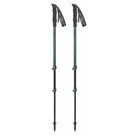 Палки треккинговые Masters Pathfinder