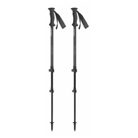 Палки треккинговые Masters Ranger Anthracite