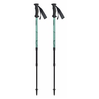 Палки треккинговые Masters Scout Arctic Blue