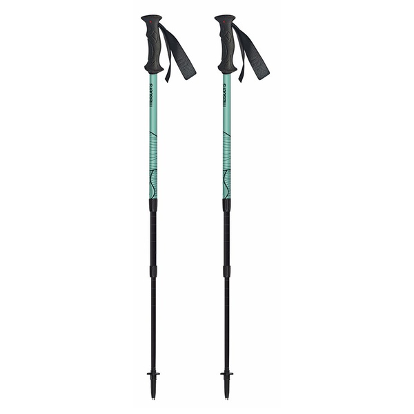 Палки треккинговые Masters Scout Arctic Blue