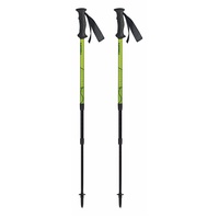 Палки треккинговые Masters Scout Lime