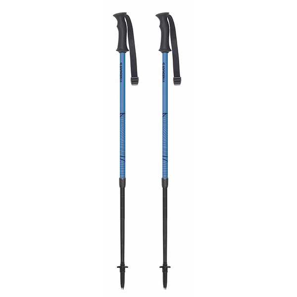 Палки треккинговые Masters Scout Junior