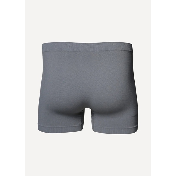 Термотрусы-боксеры Сплав Sirius серый
