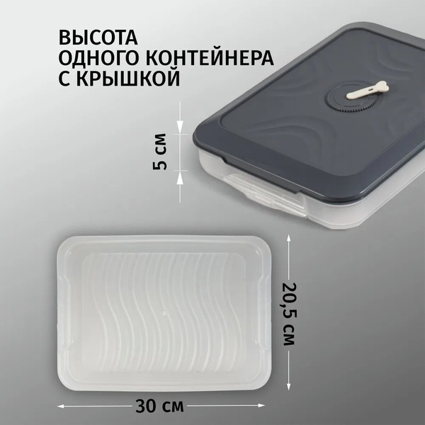 Контейнер для заморозки и хранения Runis (2 яруса) графит