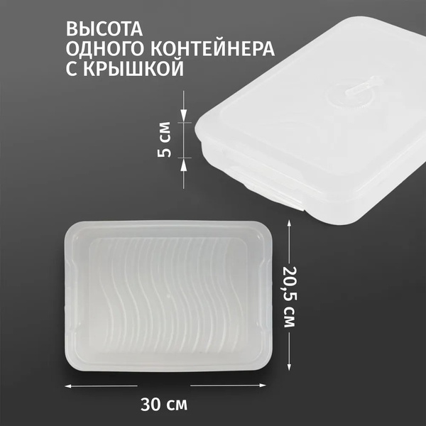 Контейнер для заморозки и хранения Runis (4 яруса, 30 х 20.5 х 15 см) прозрачный