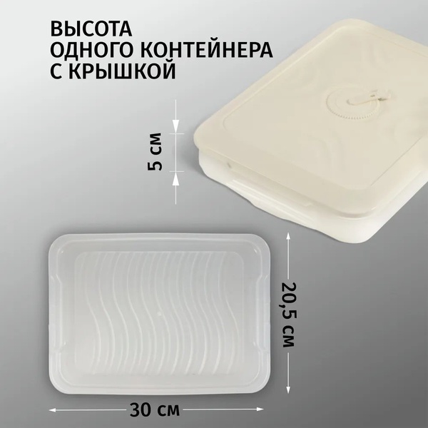 Контейнер для заморозки и хранения Runis (4 яруса, 30 х 20.5 х 15 см) сливочный