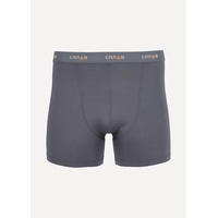 Термотрусы Сплав Fresh grey